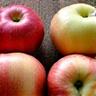 Seltene historische Apfelsorten, Erbstück-Frucht-Spezialität